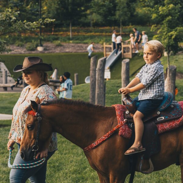 Ponyrides