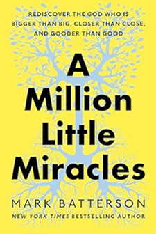 Book million little miracles
