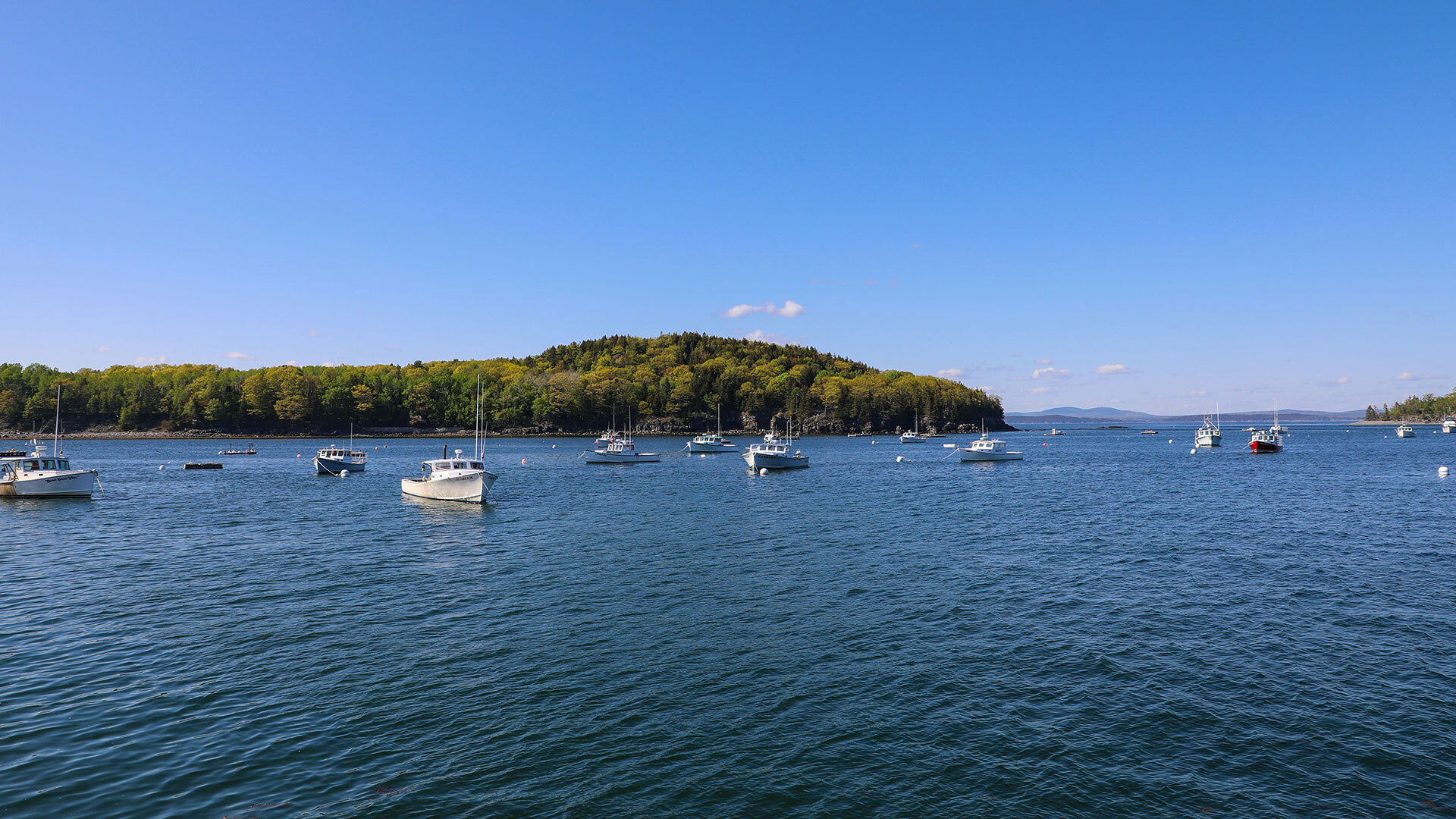 Bar harbor me
