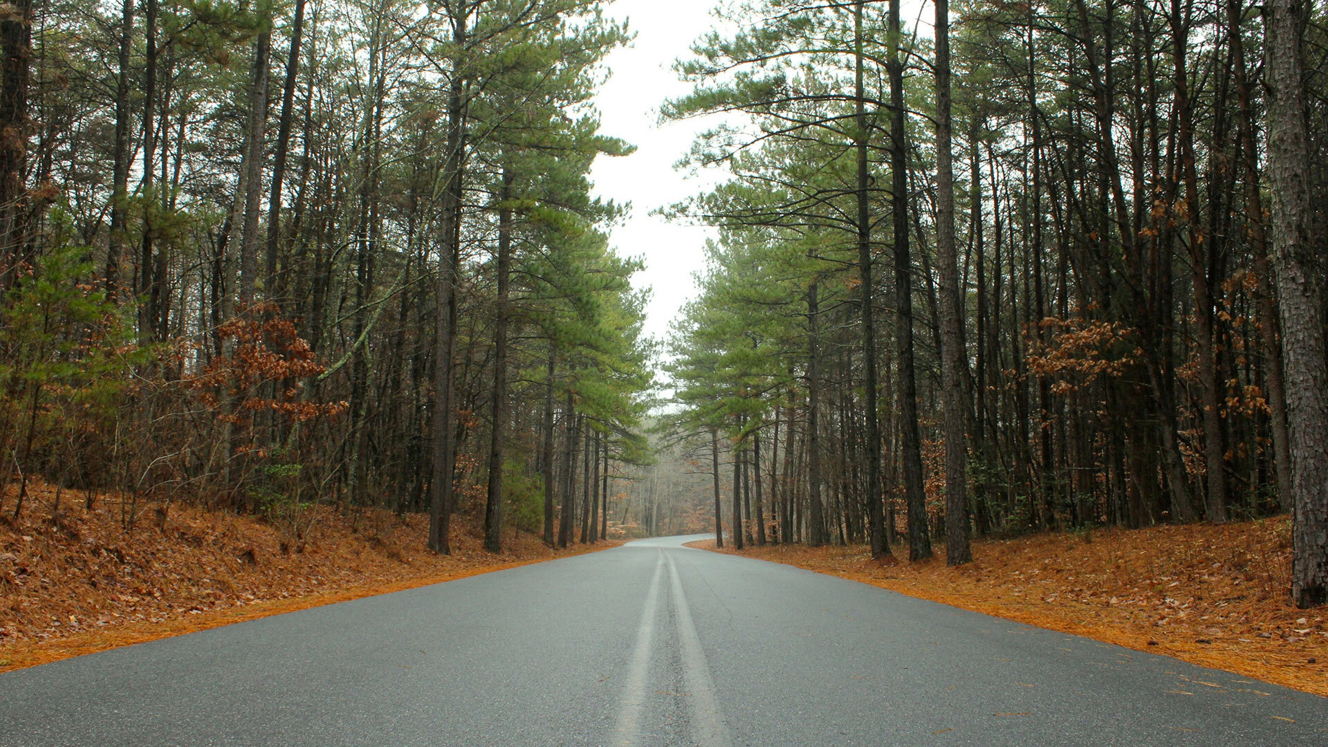 Location greenville nc