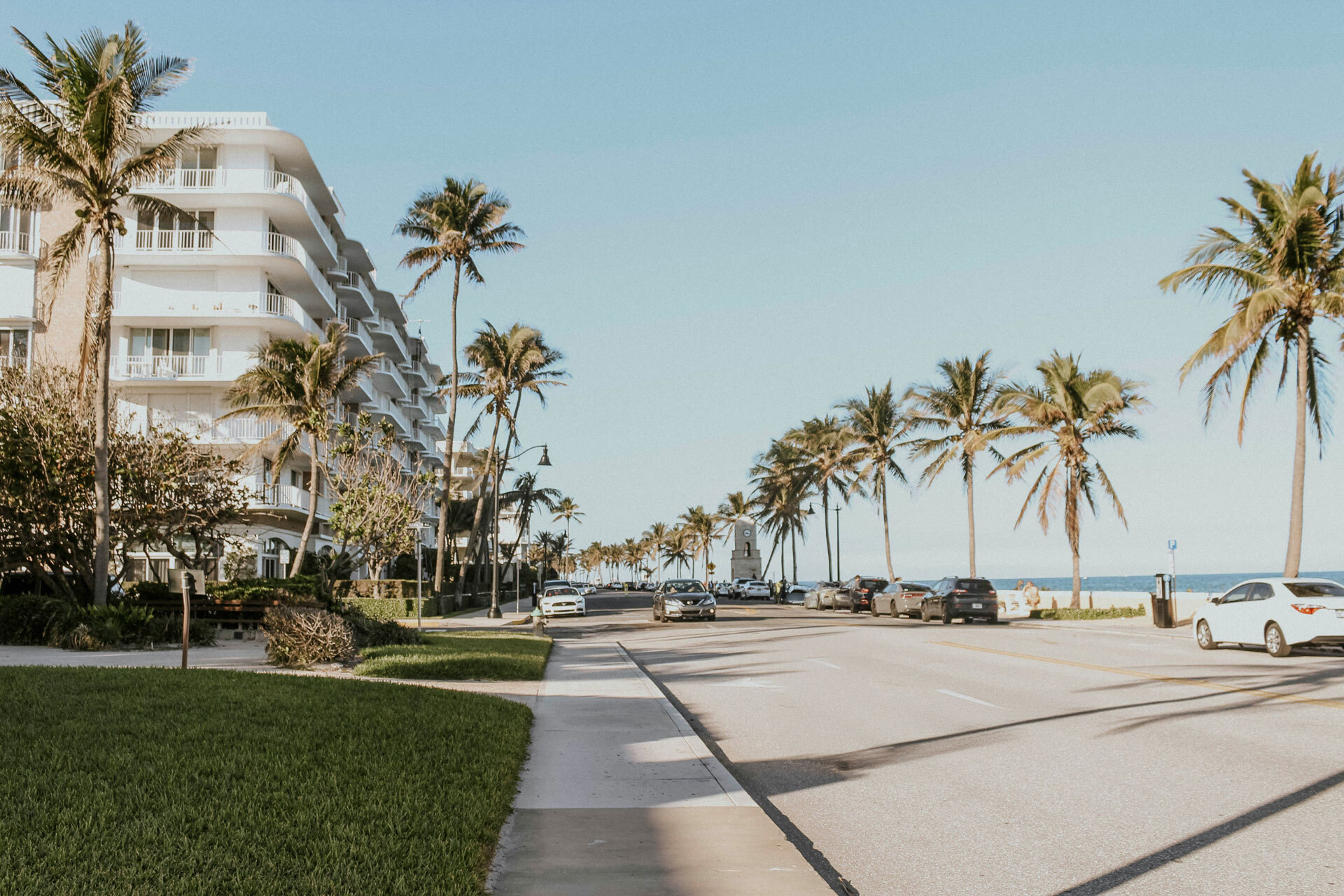 Palm beach