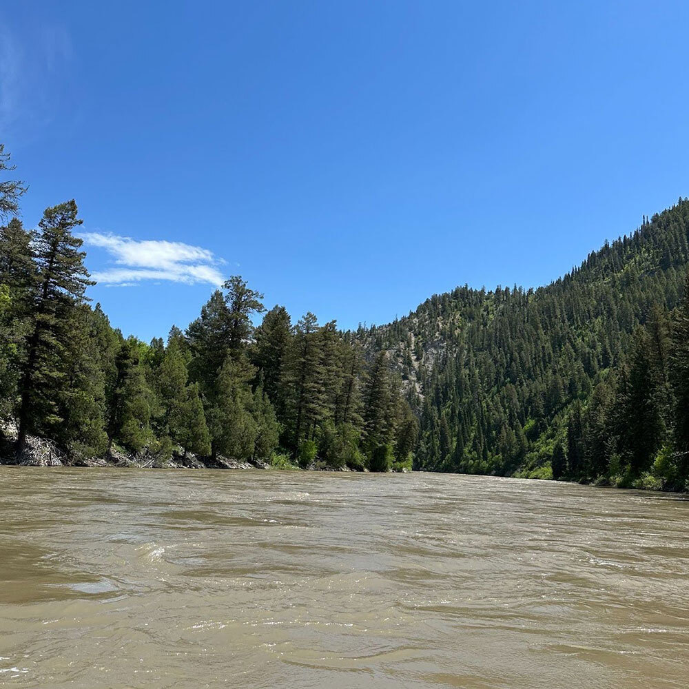 Jackson hole wyoming