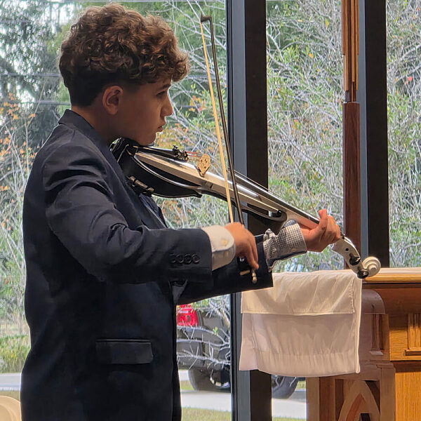 Dons thoughts alex violin